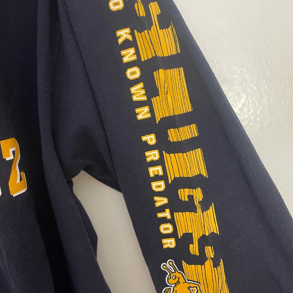 CHAMPION UC SANTA CRUZ LONG SLEEVE - Picture 3 of 3